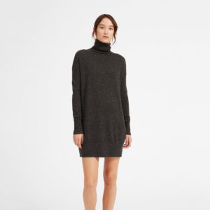 Everlane Cashmere Turtleneck Dress