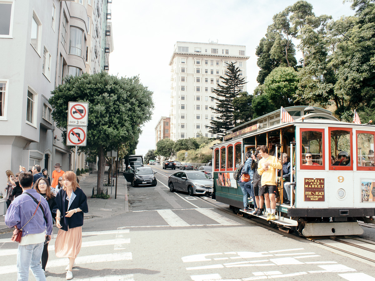 The Lavender Daily - San Francisco Trip 