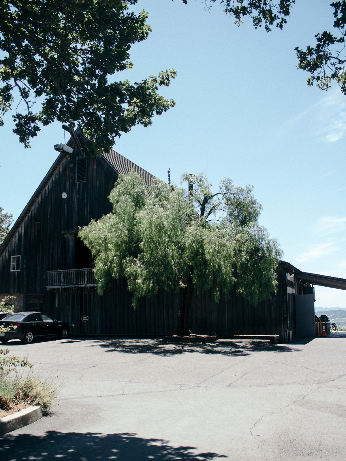 The Lavender Daily - Napa Trip 