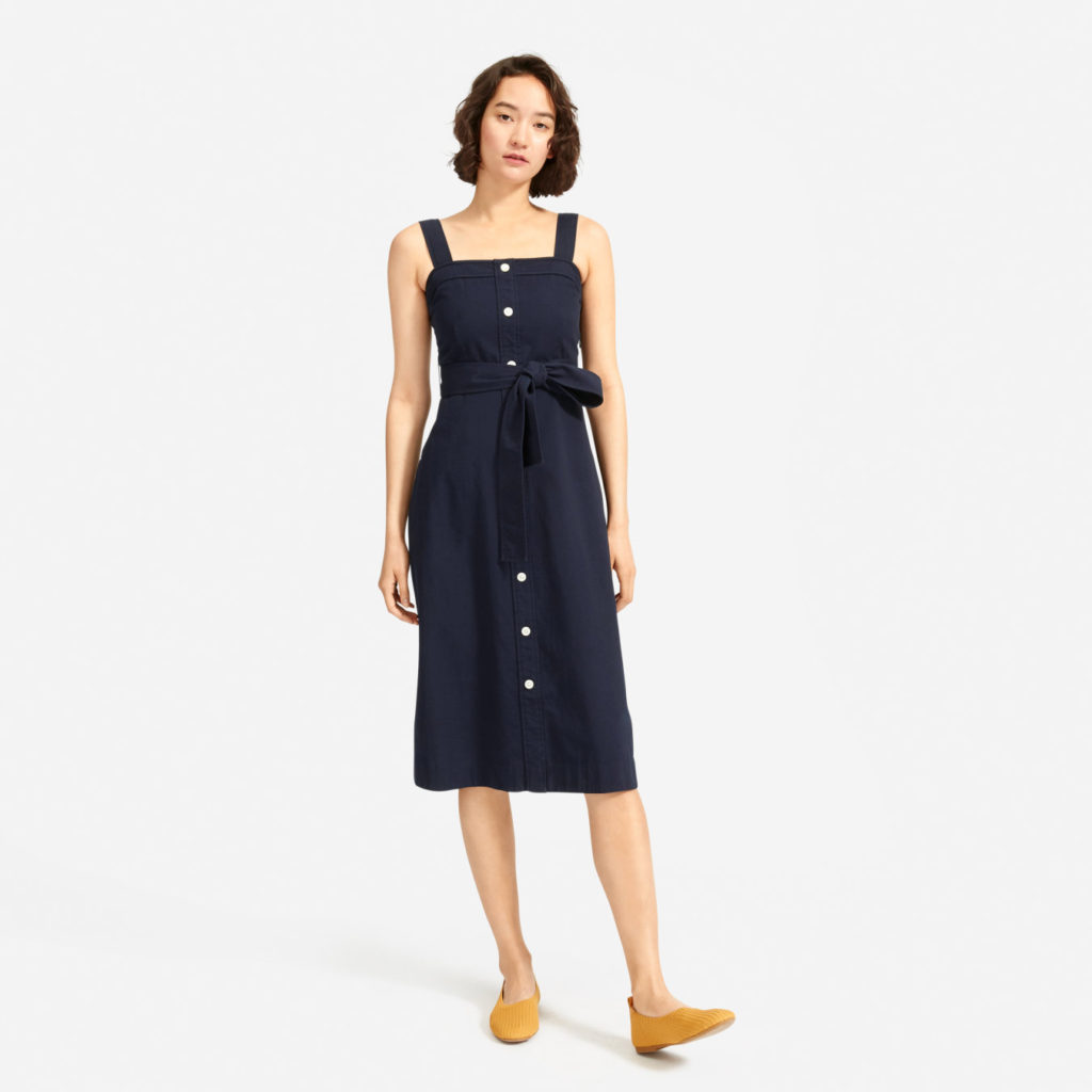 Everlane Cotton Weave Picnic Dress