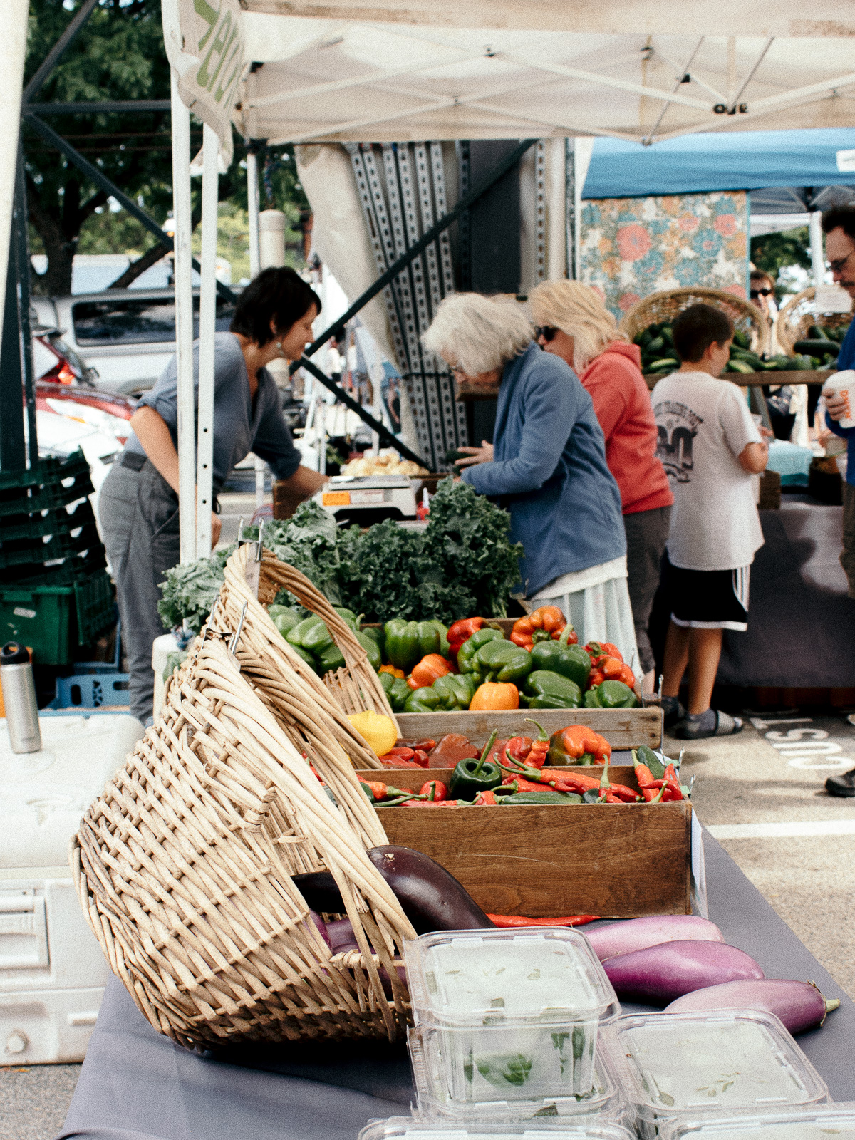 The Lavender Daily - Newburyport, MA